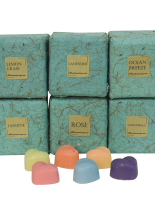Buddah Wax Melter Set (Summer)