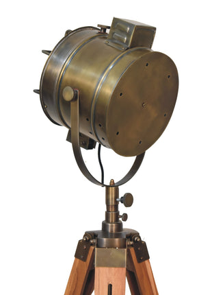 Caged Brass Spotlight Floor Lamp