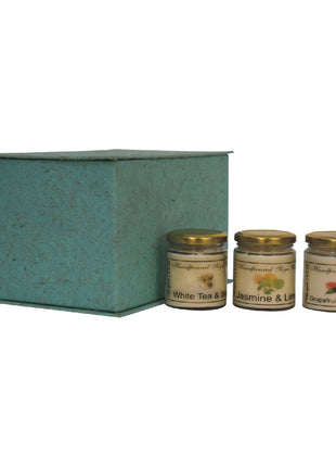 Candle Gift Set of 3 (Spring)