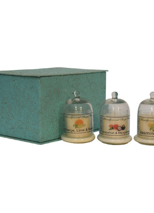 Bell Jar Candle Set of 3 (Fruit)