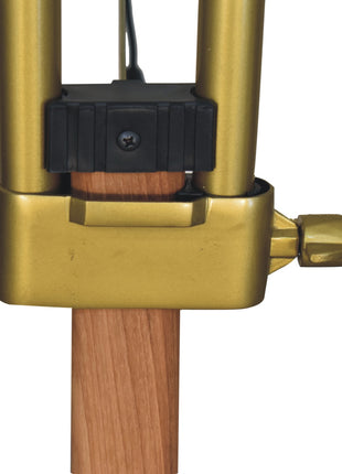 Brass Plated and Wooden Floor Lamp
