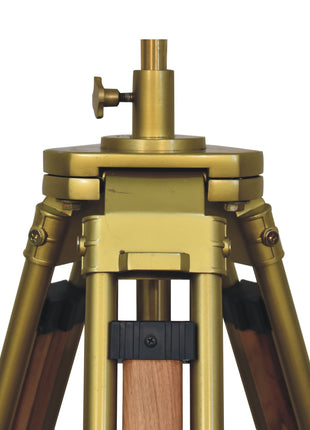 Brass Plated and Wooden Floor Lamp