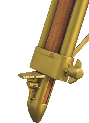 Brass Plated and Wooden Floor Lamp